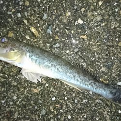雨の日は、車横づけ置き竿で
